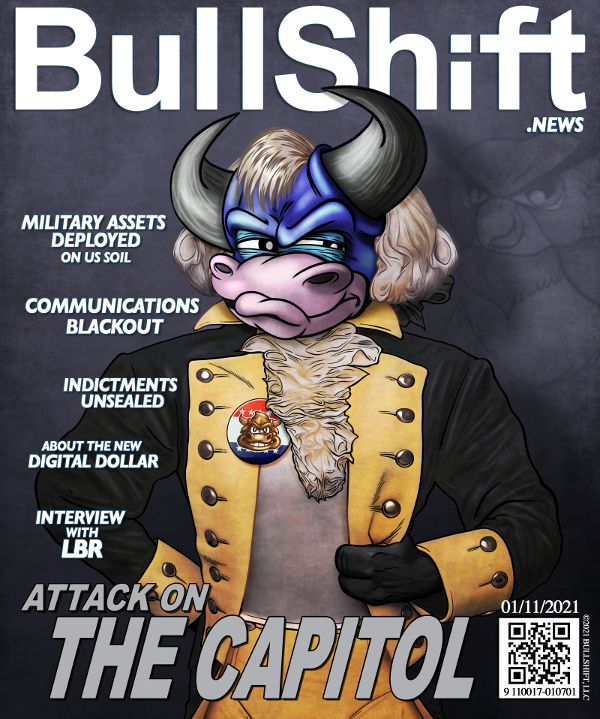 BullShit News Capitol Attack Cover